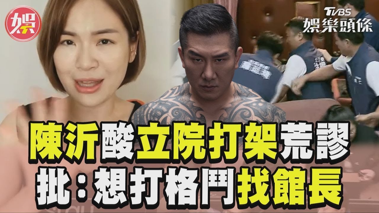 影音/陳沂酸「立院打架」超荒謬 儍眼批:想打格鬥找館長!