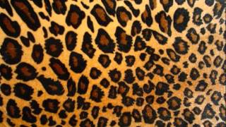 Mesmerised Bunga Bunga (Bang them bitches vocal edit)