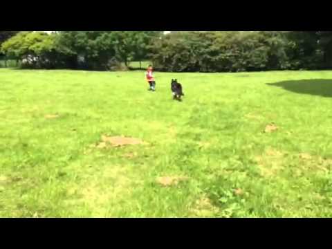 Taking lexy for a run