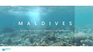 Maldives Maafushi South Male Atoll Snorkeling