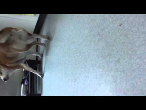 只今！のシーン撮ろうとしたら。