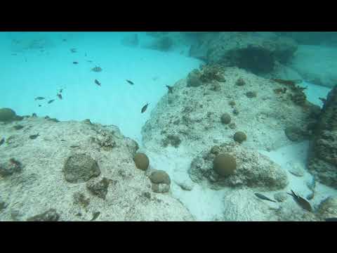 Playa Kenepa Chiki GX011882