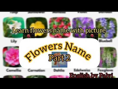 Part 2 Flowers Name //10 Flowers Name #flowersnameforkid #language learning