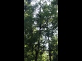 IMG 1969