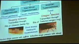 Dr Azza   Protozoa 5   Trypanosoma   Part 2   YouTube