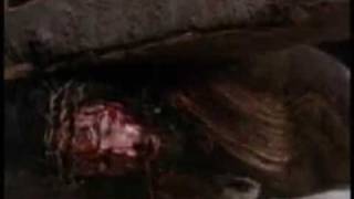 Showbread &#39;Matthias Replaces Judas&#39; musicvid   PassionChrist