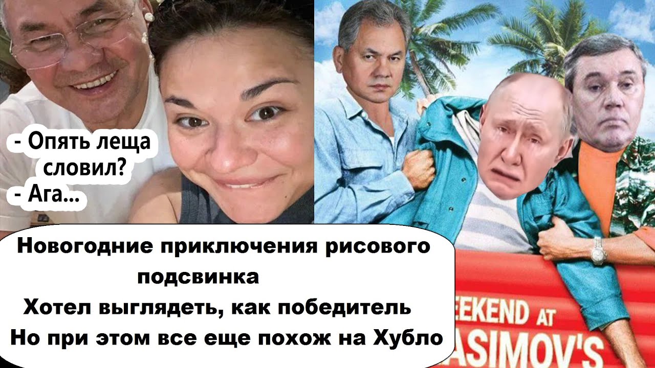 Новогодние приключения рисового пoдcвинka