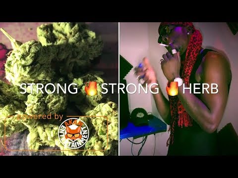 876 Skillz Ft. Freezey Reckless - Strong Strong Herb [Official Music Video HD]