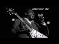 Albert King-Watermelon Man