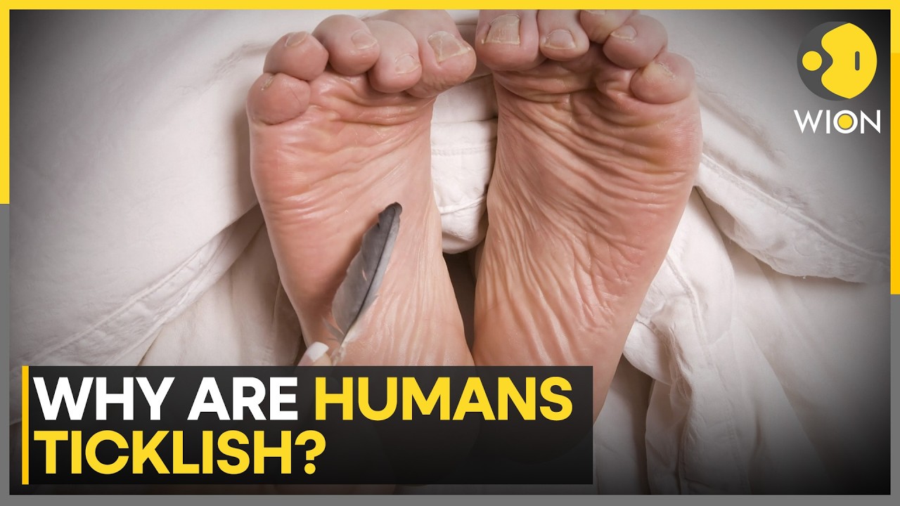 Darwin’s 150-Year-Old Tickling Theory Gets Scientific Backing | WION