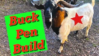 Goat Buck Pen | Buck Pen Tips | Building a Goat Pen