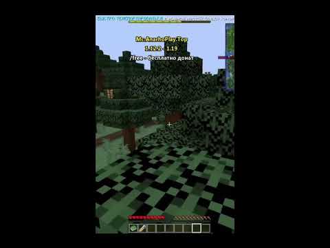 🔥 ОТКРЫЛ СВОЙ ГРИФЕРСКИЙ СЕРВЕР НА 1.16.5 || НОВЫЙ ГРИФ СЕРВЕР mc.anarhoplay.top