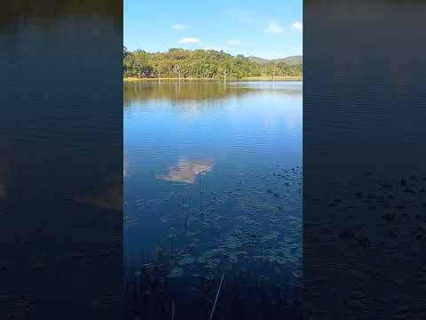 natureza vale do são patrício Goiás #pescaria #fishing #ㅇyㅇ #pescaesportiva #pesca #nature