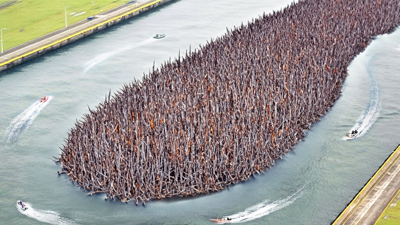 That's Why Mexico Wants to Kill the Panama Canal