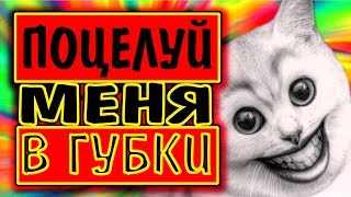 Новые приколы с смешными животными. Лучшие приколы 2018.#1