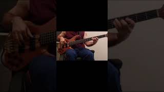 Video thumbnail for YAMAHA TRB 5 PII - Test by adilbass