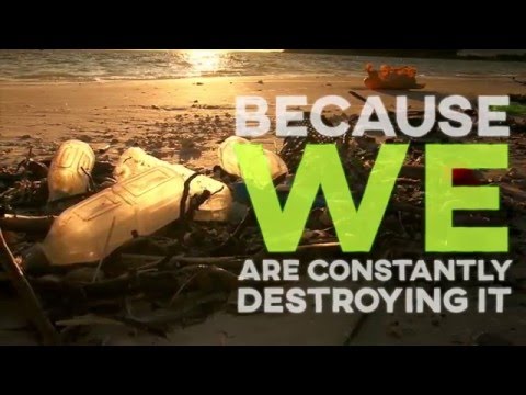 The Coral Triangle is Under High Threat