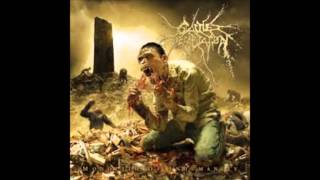 CATTLE DECAPITATION Projectile Ovulation