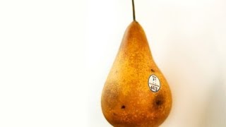 You CANNOT Eat This -- BiDiPi #34