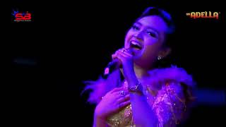 Download lagu OM ADELLA LIVE 2018 AT GO FUN BOJONEGORO mp3