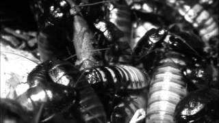 Make Yourself Comfortable..