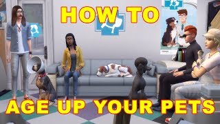 Sims 4 Cats & Dogs: How to Age Up Pets