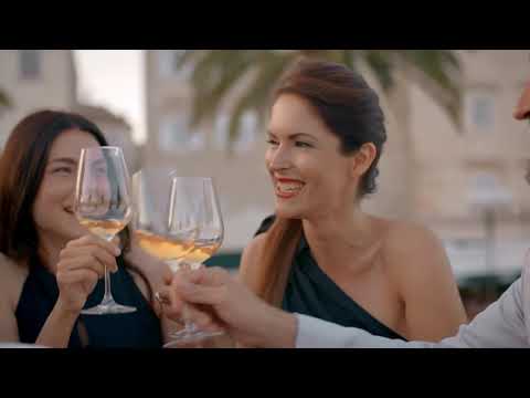 royal dolphine yachts