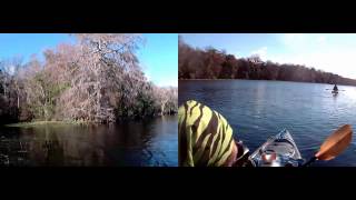 preview picture of video 'Kayaking the Wacissa River December 30, 2014'