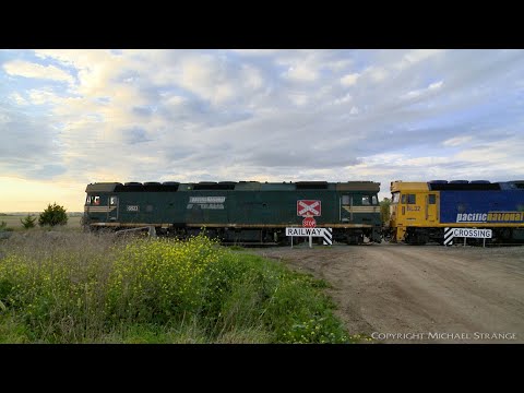 Pacific National Grain Train 7737V - PoathTV Australian Railways