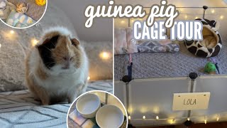 Guinea Pig Cage Tour | 2022