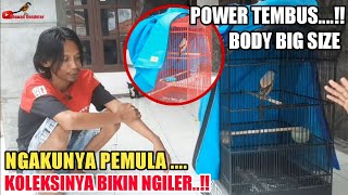 Download lagu KUALITAS ngga Bisa BOHONG || Review Cendet Koleksi Mas Edi Besuki Situbondo mp3