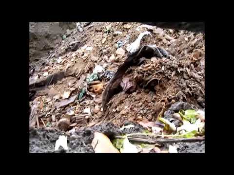 film van een knekelput