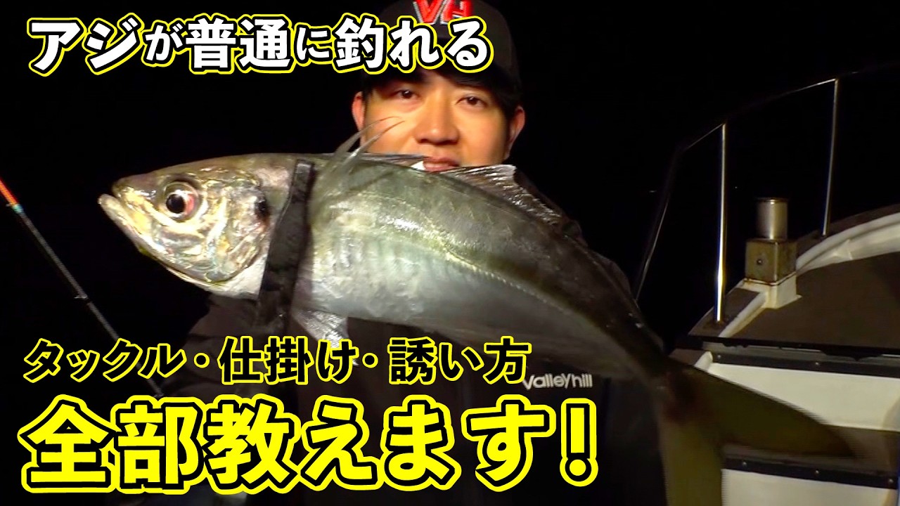 田辺湾でバチコンアジング！美味しいアジが連続ヒット！（四季の釣り/2026年2月20日放送）