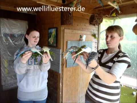 2011 05 08 Ramona mit Schwester und Ma beim Wellifluesterer