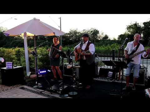 Shamrock: Star of the county down (LIVE at Café Bruno Tapfheim)