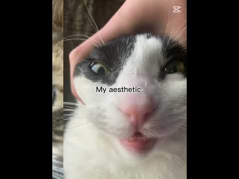 Yah (no of these pics hurt them)