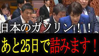 【神谷宗幣】「日本、普通に詰みます…原油9割依存の現実」#神谷宗幣 　#高市早苗　#国会