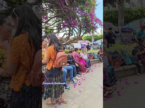 El hermoso Parque de#sancristobalverapaz #altaverapaz #guatemala