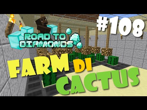Road To Diamonds - Ep. #108 - Farm Di Cactus