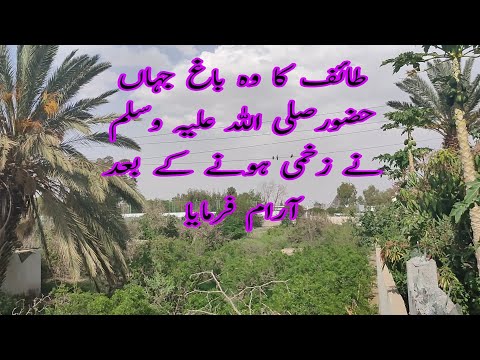 Taif ziyarat satory muhammad PBUH in grape garden