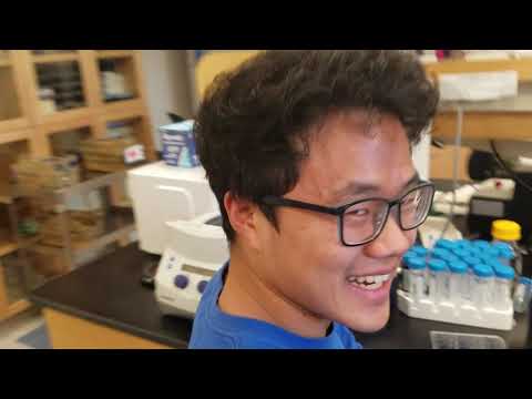 Luikart Laboratory Tour video thumbnail