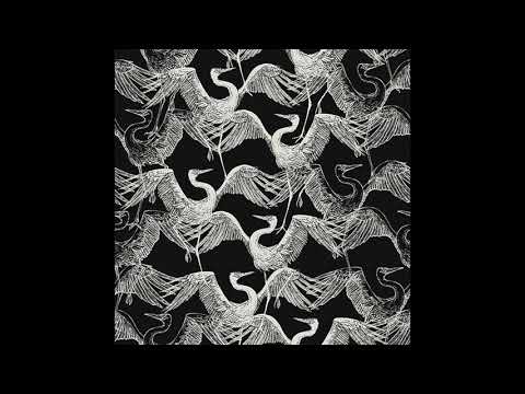 Birds of Mind - Ankara (Original Mix)