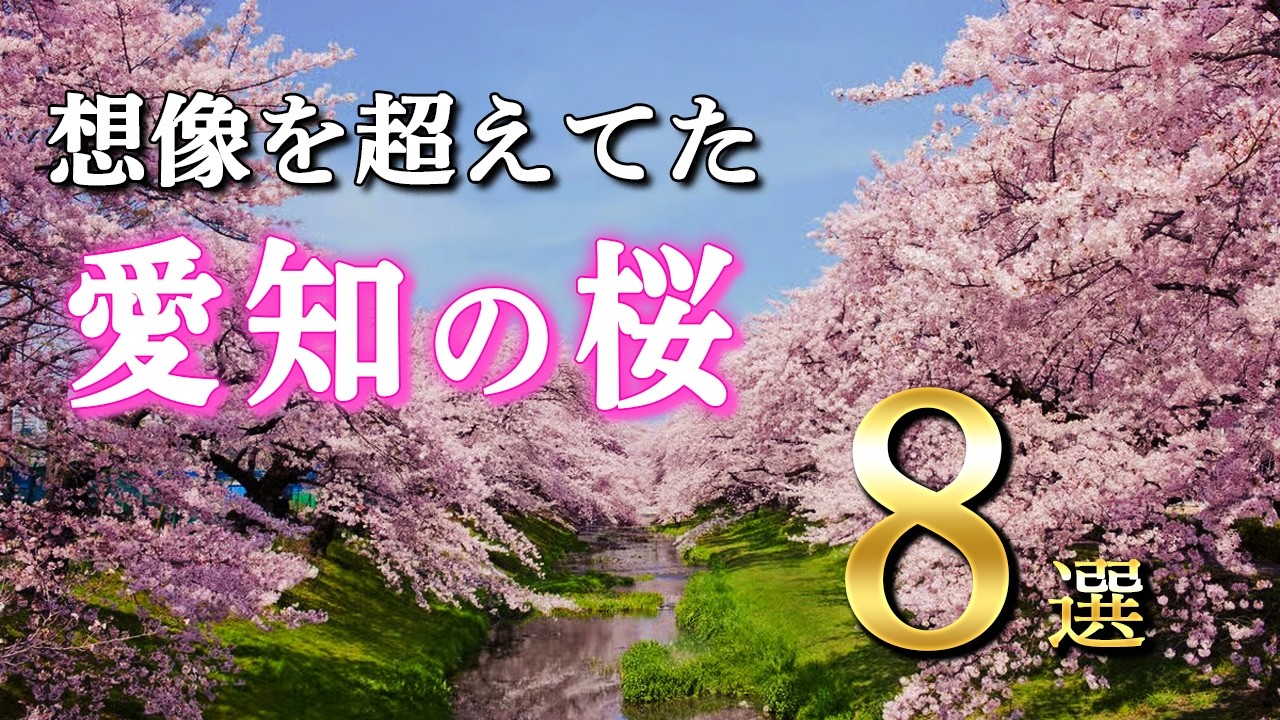 【2026年最新愛知の桜】想像を超えた美しい桜8選｜名古屋城・岡崎城・五条川｜Aichi Cherry Blossoms 2026