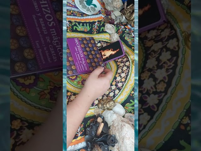 Vídeo relacionado con Libro de hechizos mágicos: 160 registros de hechizos reglamentados y más cuaderno de tapa blanda/diario grande Pentáculo (regalos mágicos) (verde)