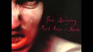 Symphony For The Devil