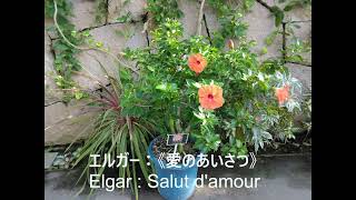 Download lagu エルガー:愛のあいさつ(クラシック28) mp3 Download lagu エルガー:愛のあいさつ(クラシック28) mp3