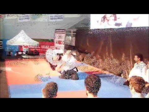 Aikido Argentina Expodeportes 2015