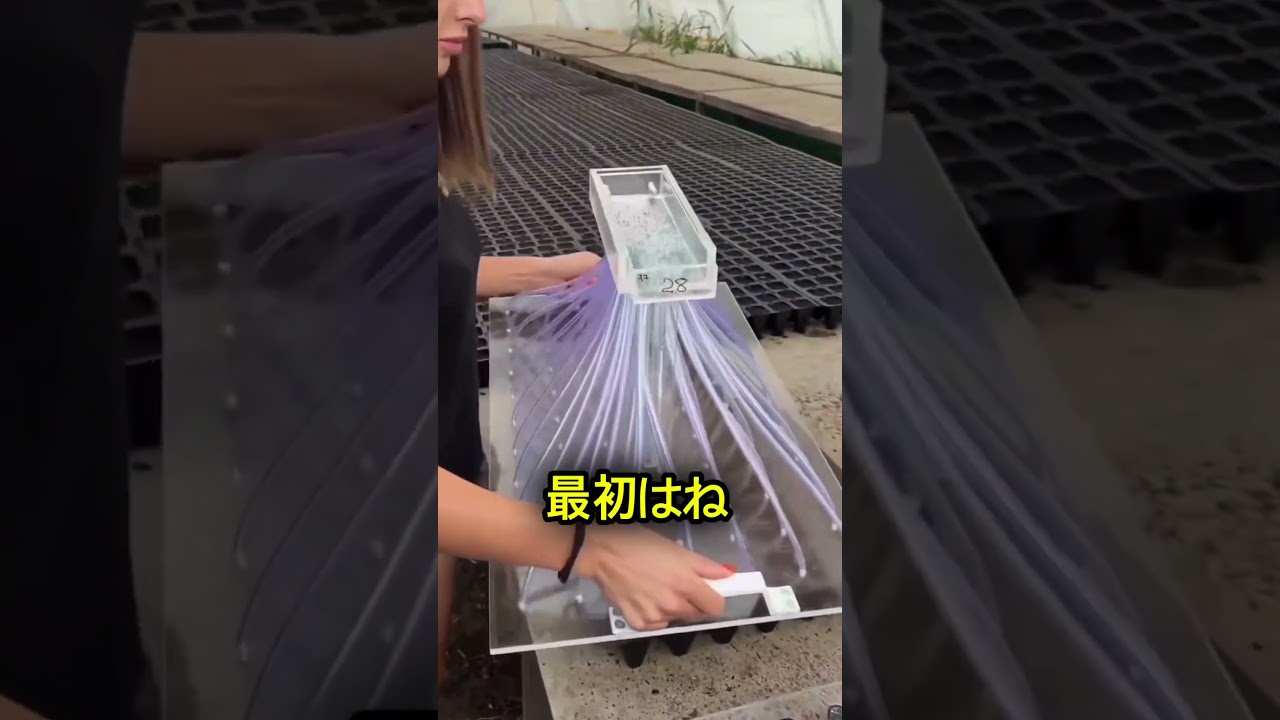 1日に何千もの種をまける仕組み