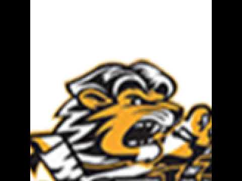 Jégoroszlánok - Szombathelyi Pinkvinek U25