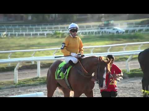 230211 c08 - TREE BELO (BRZ) - HIPODROMO LAS PIEDRAS